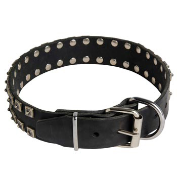 New Buckle Leather Black Russian Terrier Collar Studded New Adjustable