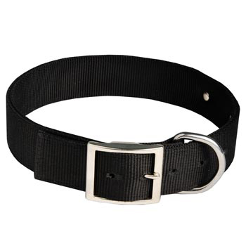 Black Russian Terrier Training Collar with ID Tag