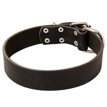 Unbelievable Black Russian Terrier Strict Style Leather Dog  Collar