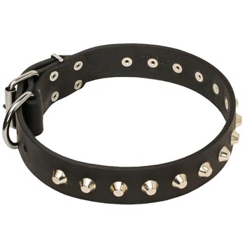 Soft Leather Black Russian Terrier Collar with Nickel Studs