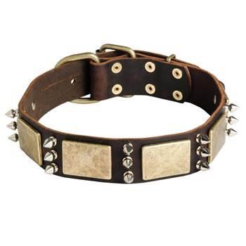 War-Style Leather Dog Collar for Black Russian Terrier