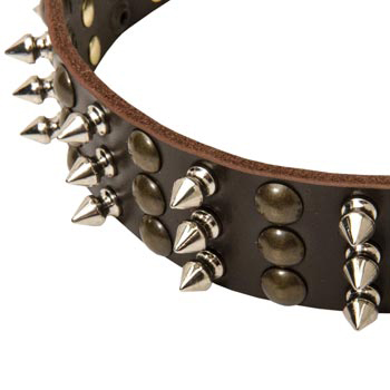 3 Rows of Spikes and Studs Decorative Black Russian Terrier  Leather Collar
