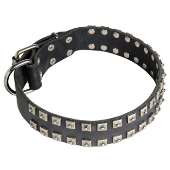 Leather Black Russian Terrier Collar Wide Strong Studded