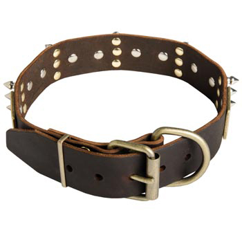 Spiked Leather Black Russian Terrier Collar