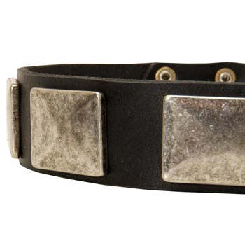 Wide Leather Black Russian Terrier Collar for Walking