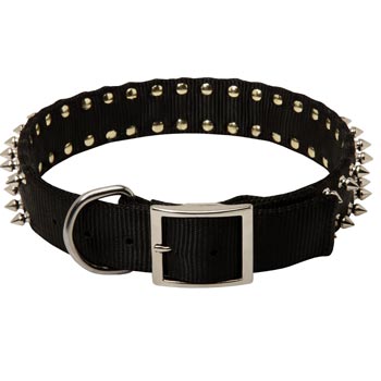 Black Russian Terrier Wide Dog Nylon Collar Spiked