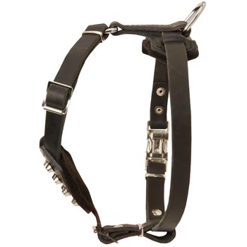 Leather Black Russian Terrier Puppy Harness for Comfy Walking