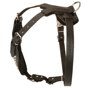 Custom Made Leather Black Russian Terrier Harness