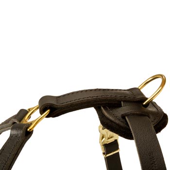 Corrosion Resistant D-ring of Black Russian Terrier Harness
