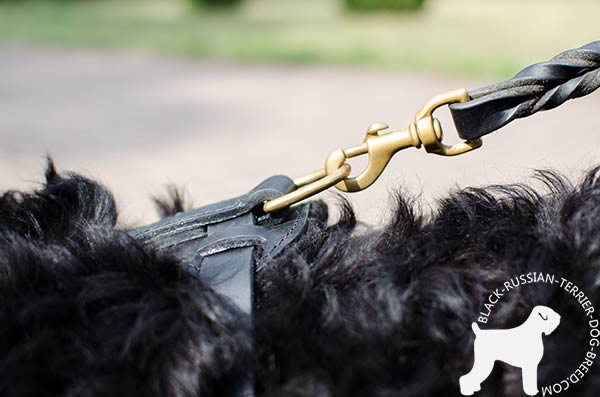 Black Russian Terrier black leather harness of high quality decorated with spikes for improved control