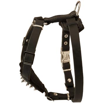 Black Russian Terrier Leather Harness for Puppy Walking and Training