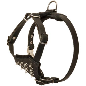 Black Russian Terrier Leather Puppy Harness with Attractive Nickel Decoration