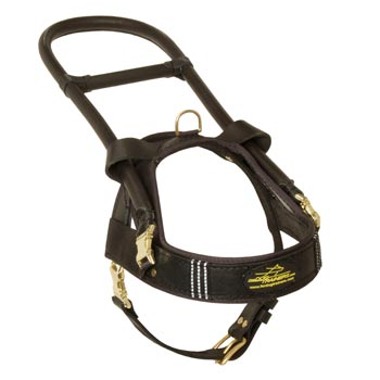 Black Russian Terrier Leather Guide Harness with ID Patches