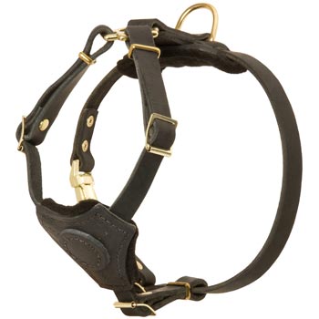 Light Weight Leather Puppy Harness for Black Russian Terrier