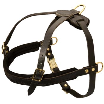 Leather Black Russian Terrier Harness for Dog Off Leash Training