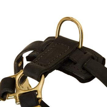 D-ring on Leather Black Russian Terrier Harness for Puppy Training