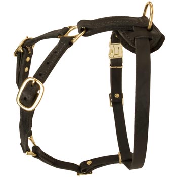 Tracking Leather Dog Harness for Black Russian Terrier