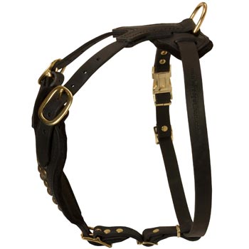 Easy Adjustable Leather Black Russian Terrier Harness