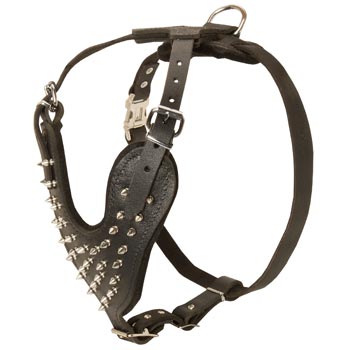 Spiked Leather Harness for Black Russian Terrier Walking