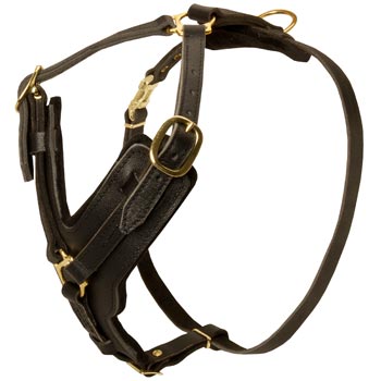 Comfortable Y-Shaped Leather Harness for Black Russian Terrier Attack  Training
