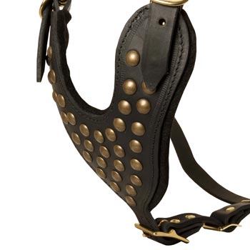 Studded Black Leather CHest Plate for Black Russian Terrier Comfort
