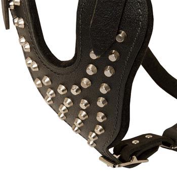 Studded Chest Plate Leather Black Russian Terrier Harness