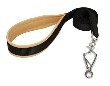 Black Russian Terrier Nylon Leash for Walking and Training