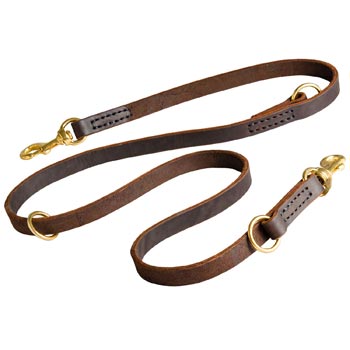 Leather Leash for Black Russian Terrier Everyday Walking