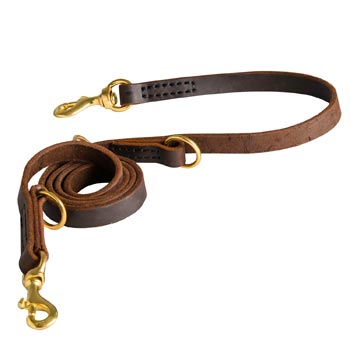 Strong Leather Leash for Black Russian Terrier Successful Training