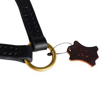Black Russian Terrier Leather Coupler with Rust-proof O-ring