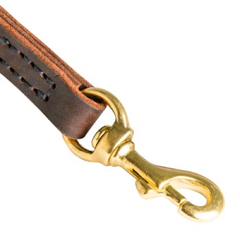 Black Russian Terrier Leather Leash with Brass Hardware