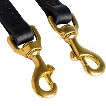 Leather Leash for Black Russian Terrier with Rust Resistant Snap Hooks