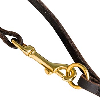 Leather Black Russian Terrier Leash with Brass Hardware for Dog Control