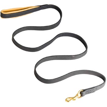Padded Leather Black Russian Terrier Leash for Everyday Walking