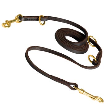 Multipurpose Black Russian Terrier Leather Leash for Effective Training