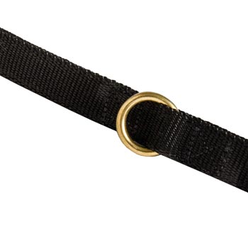 Nylon Black Russian Terrier Leash Solid Brass Ring
