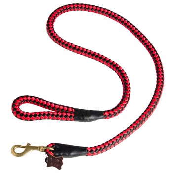 Black Russian Terrier Red Nylon Leash for Walking and Training