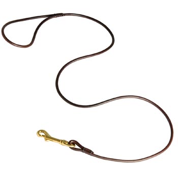 Leather Canine Leash for Black Russian Terrier Presentation at Dog Shows