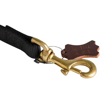 Nylon Black Russian Terrier Leash with Dependably Stitched Brass Snap Hook