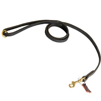 Strong Leather Black Russian Terrier Leash for Popular Dog Activities