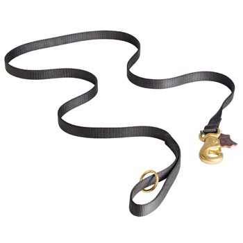 All Weather Nylon Leash for Black Russian Terrier Tracking and Training