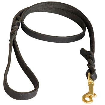 Training Leash for Black Russian Terrier