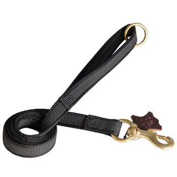 Nylon Leash for Black Russian Terrier Training will Help to Achieve Great Results