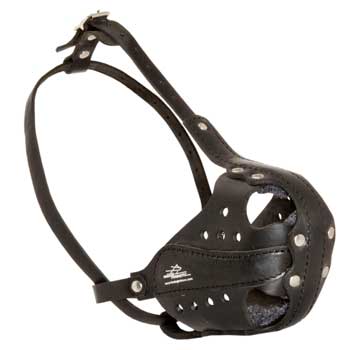 Black Russian Terrier Muzzle for Attack Training