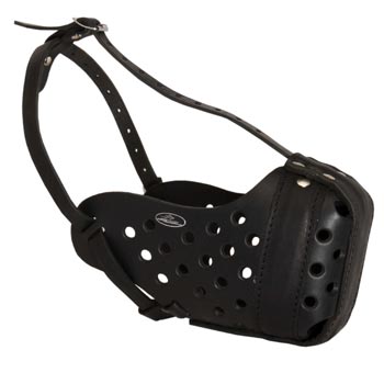 Training Leather Dog Muzzle for Black Russian Terrier