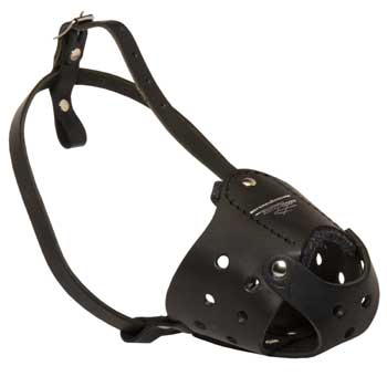 Walking Leather Muzzle for Black Russian Terrier